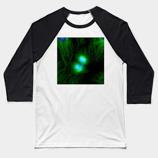 Cell division, fluorescent micrograph (C010/3482) Baseball T-Shirt